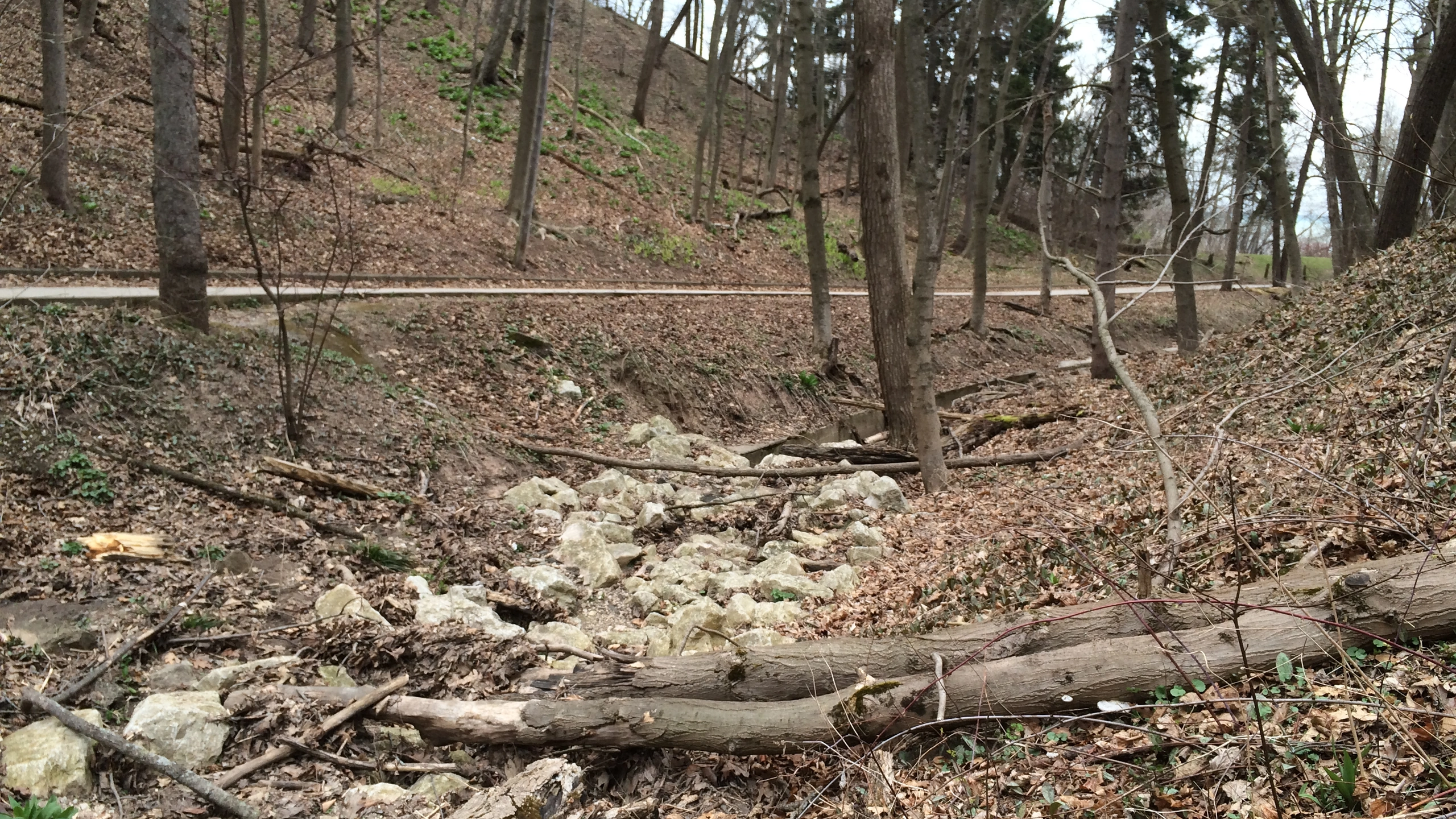 Woodland landscape in Doctors Park, Fox Point, Wisconsin